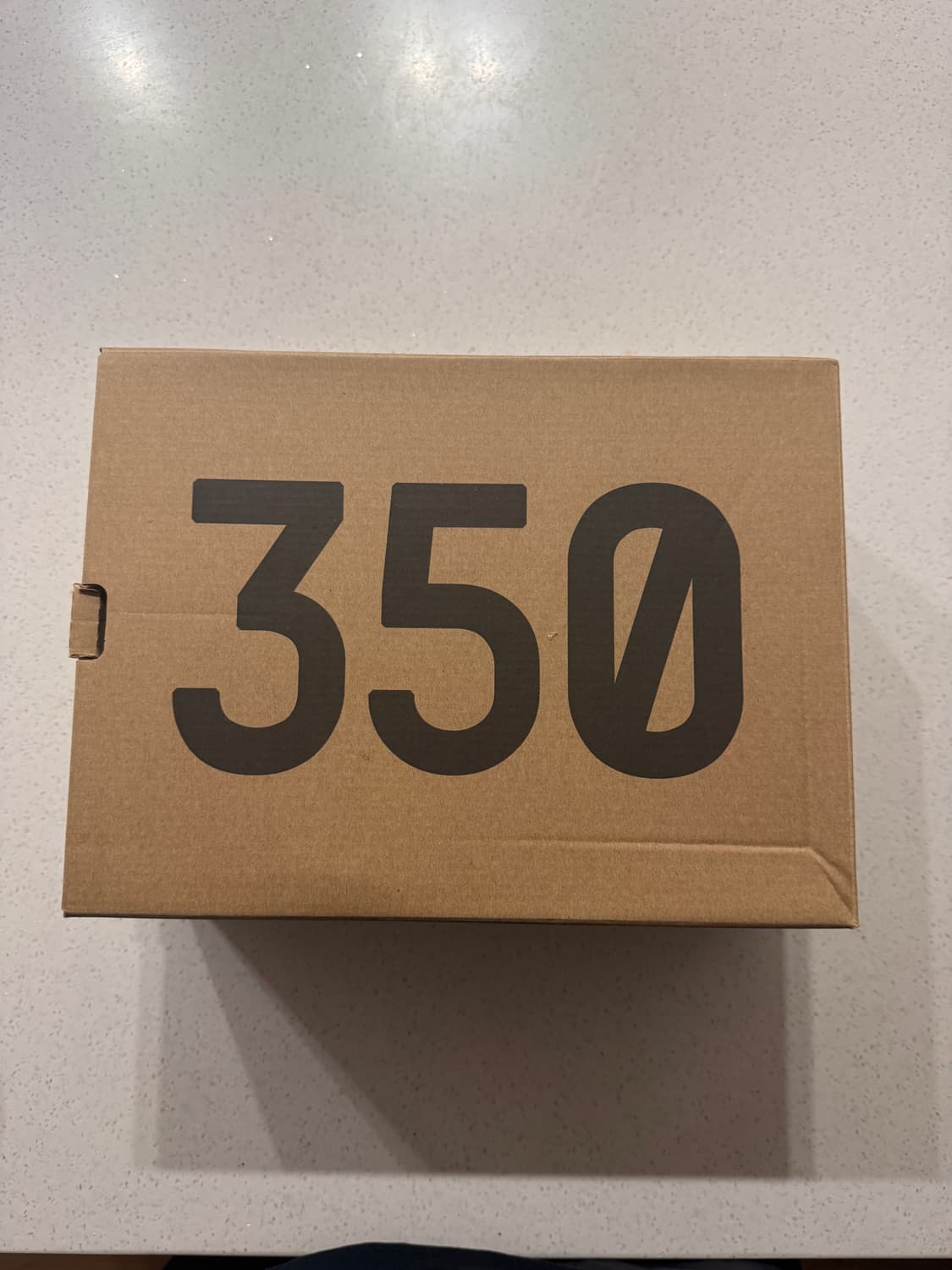 이지부스트 350 스태틱 상품이미지1