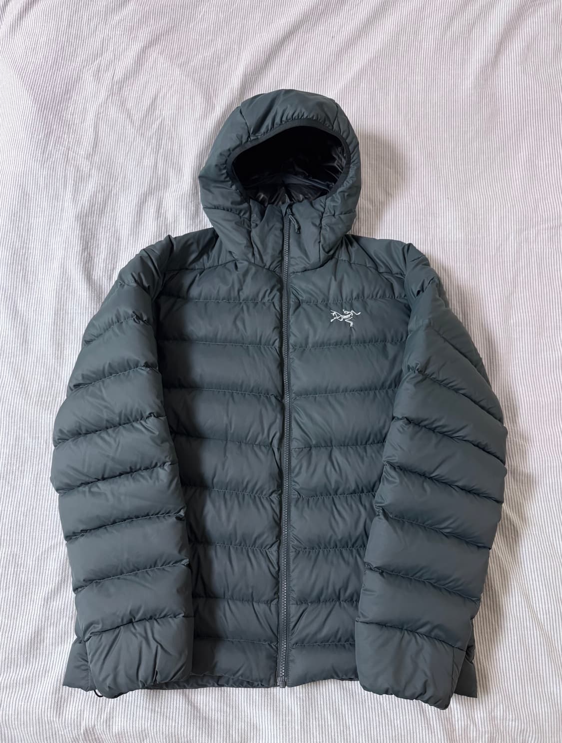 (SS급) 아크테릭스 토륨 AR 후디 파라독스 상품이미지1