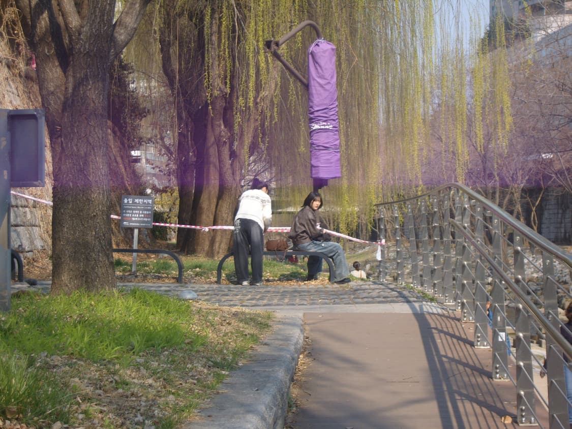 삼성 케녹스 S1030 (작례 있어요!) 상품이미지10