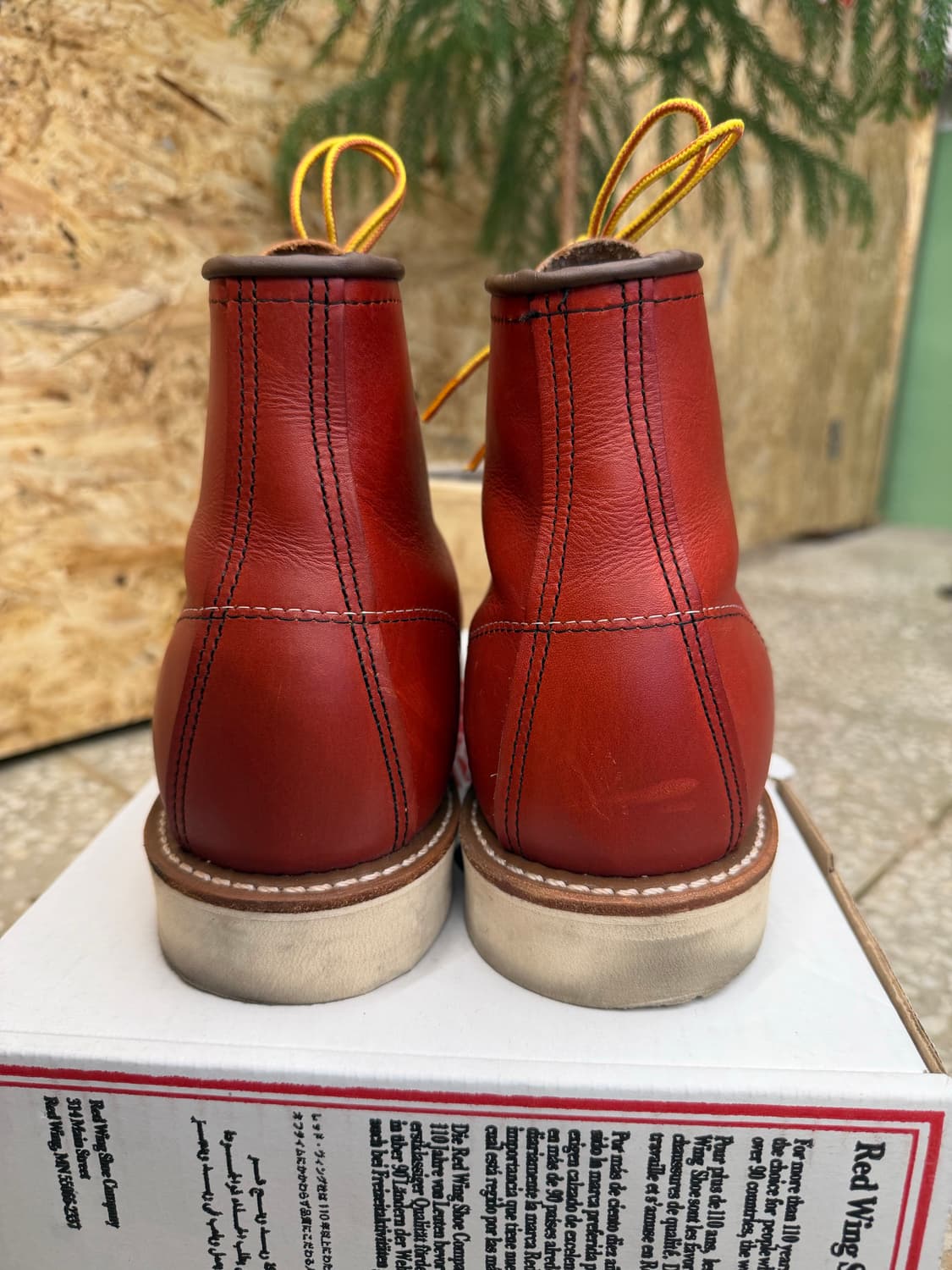 레드윙 아이리쉬 세터 8875 9E 상품이미지4