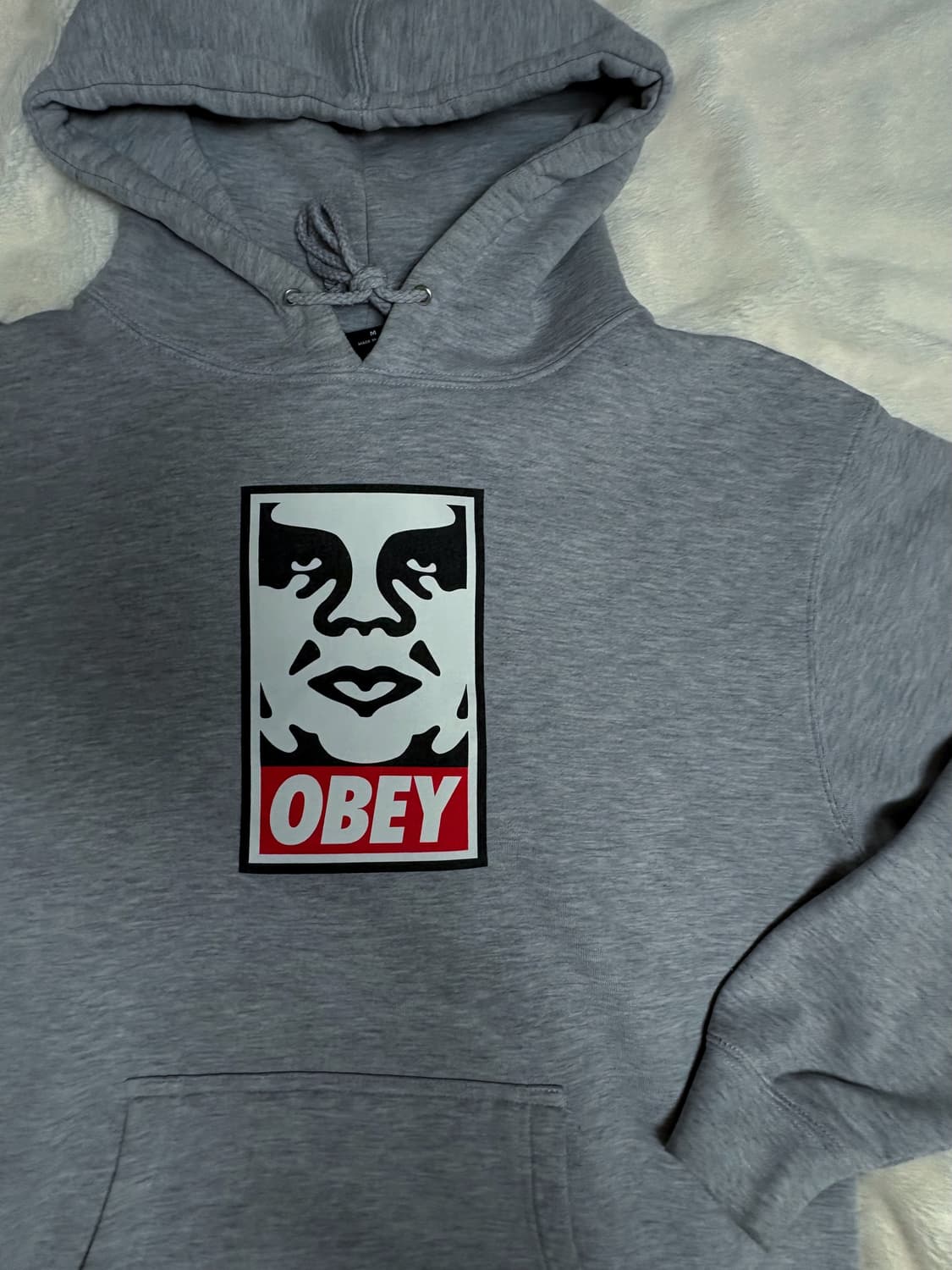 [M] 오베이(OBEY) 아이코닉 아이즈 빅 로고 후드티 (그레이) 상품이미지5
