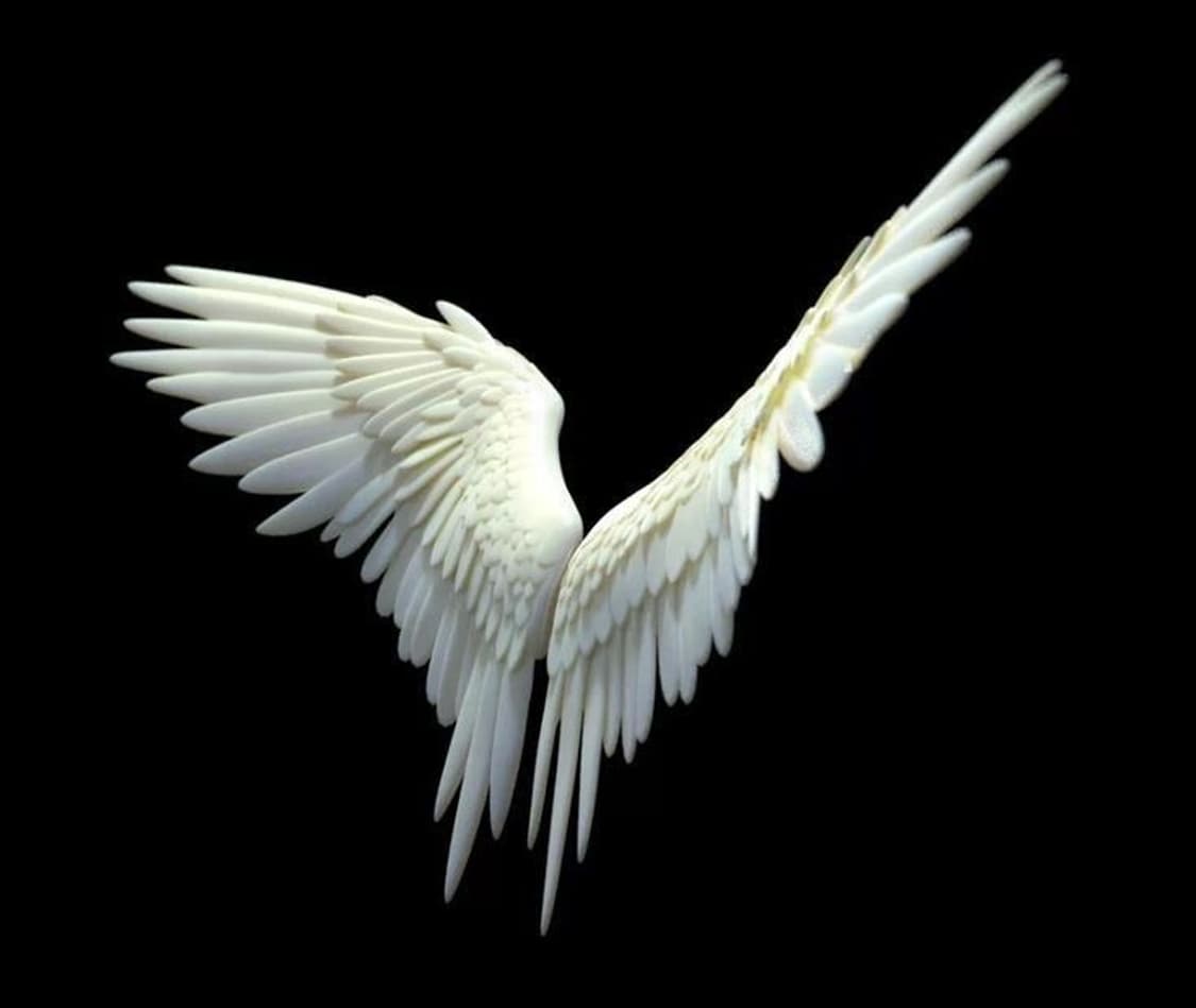 개인결제창 상품이미지1