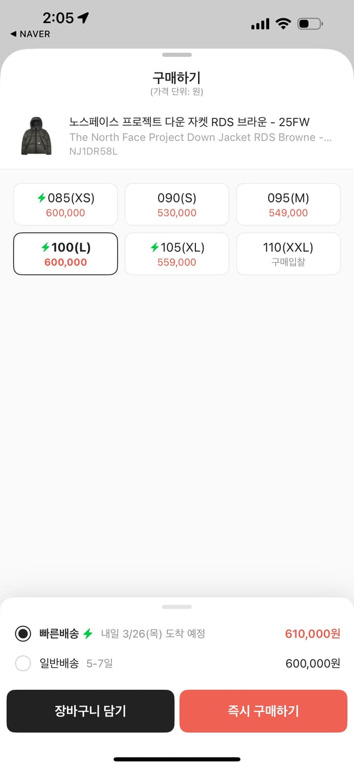 노스페이스 프로젝트 다운 자켓 RDS 브라운 - 25FW 상품이미지4