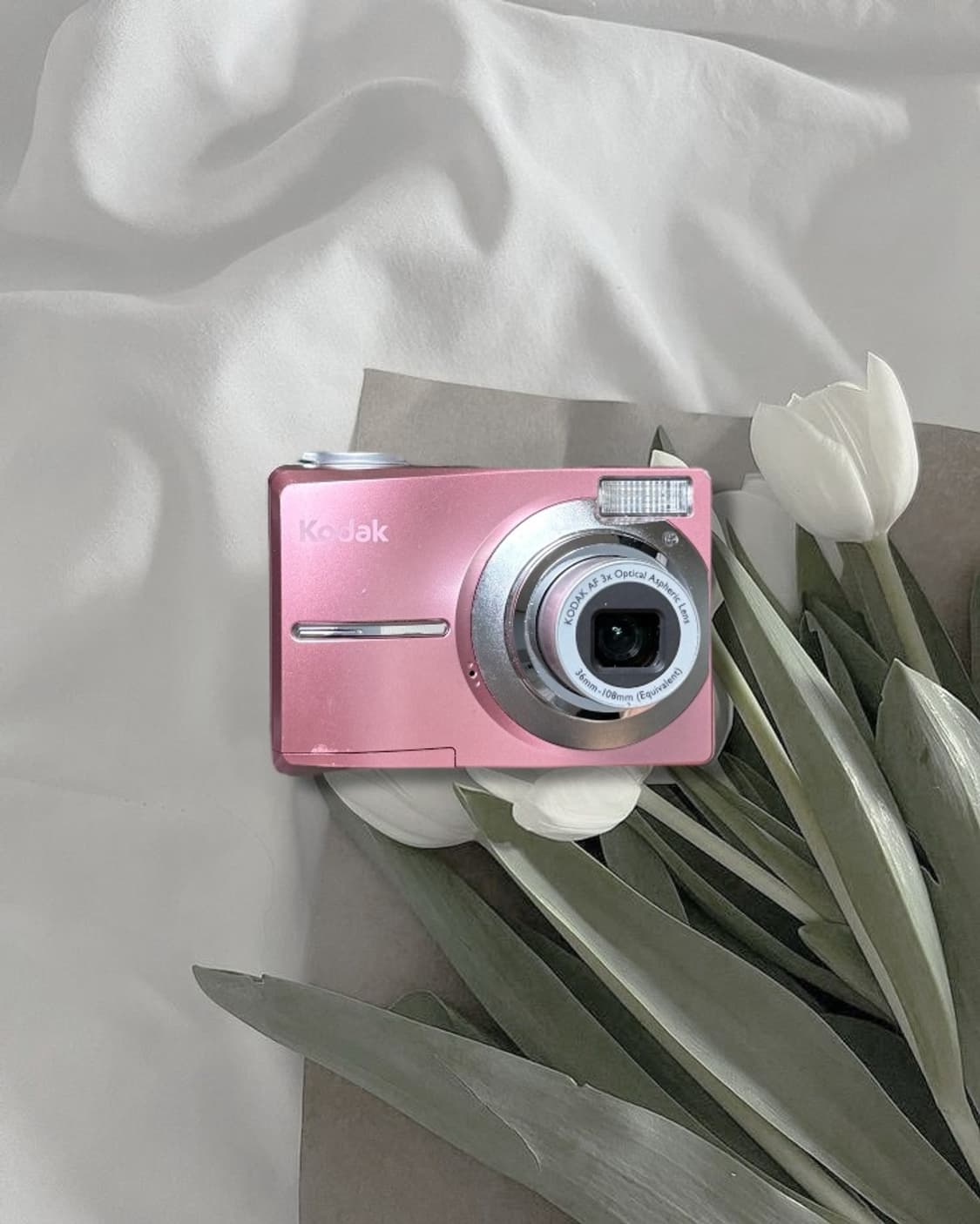 카리나‘s최애) 코닥 이지쉐어 C713 디카 빈티지 캠코더 캐논 니콘 상품이미지1