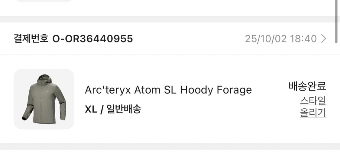 아크테릭스 아톰 SL 후디 포리지 XL 새상품 상품이미지9