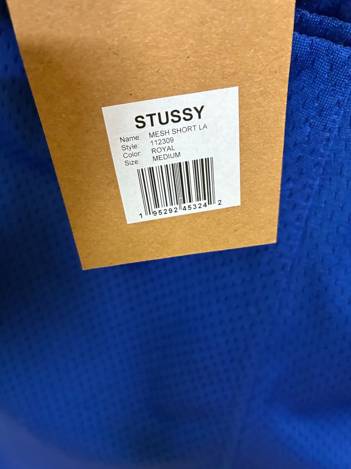 [M]스투시 LA 메쉬 숏팬츠 블루 상품이미지4