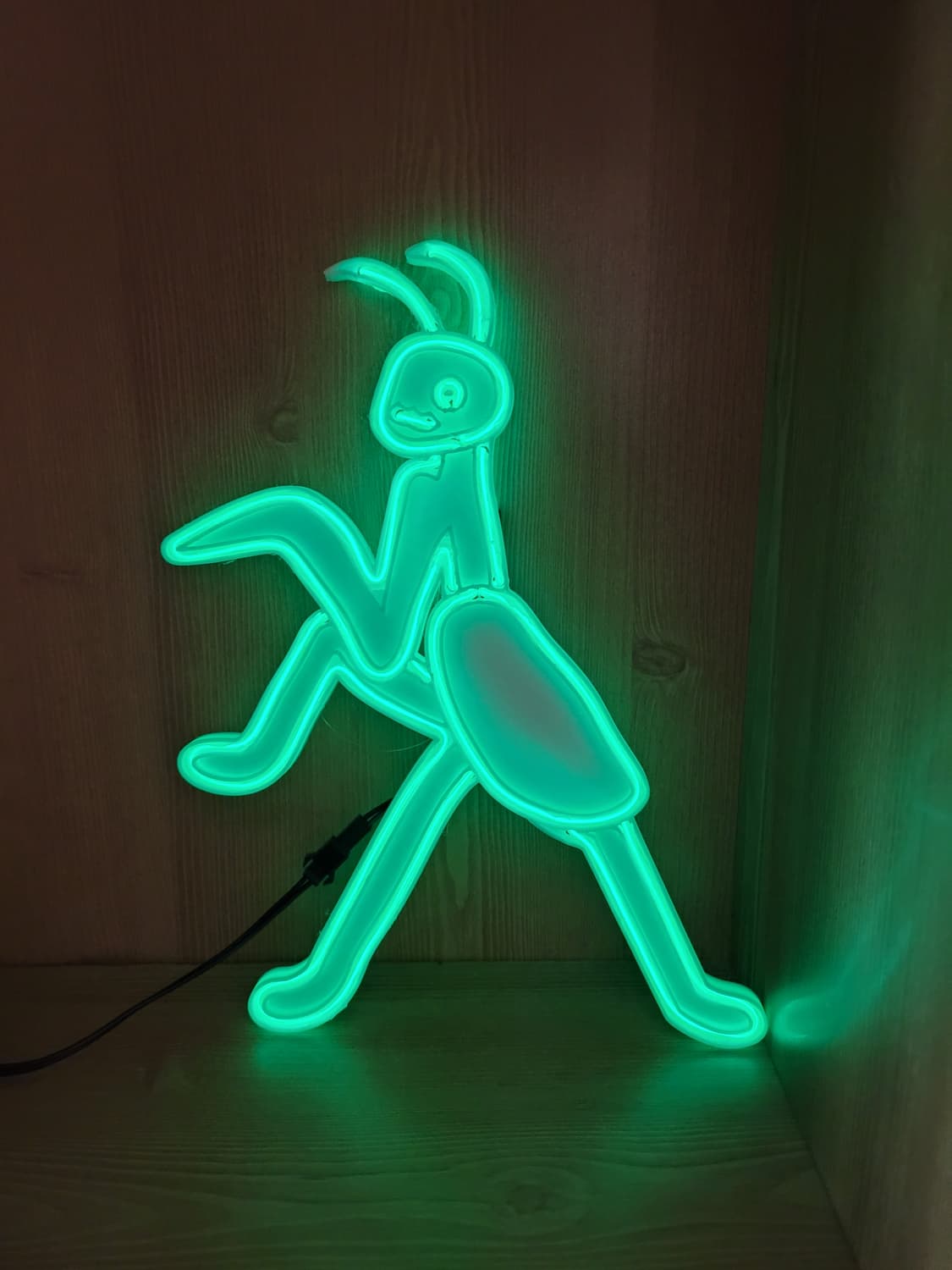 사마귀 네온사인 조명 led 램프 무드등 상품이미지5