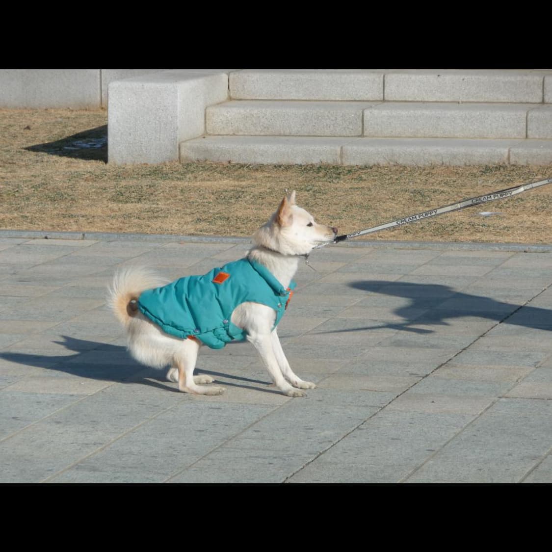  작례⭕️ 파나소닉 루믹스 DMC-TZ25 상품이미지5