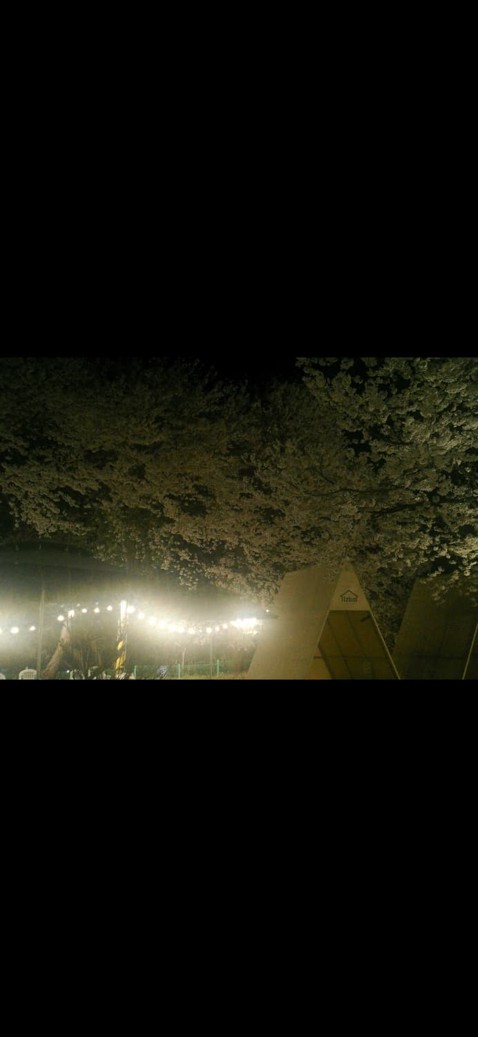 빈티지 디카 그린하우스 DV30HDAK /작례 있음 상품이미지5