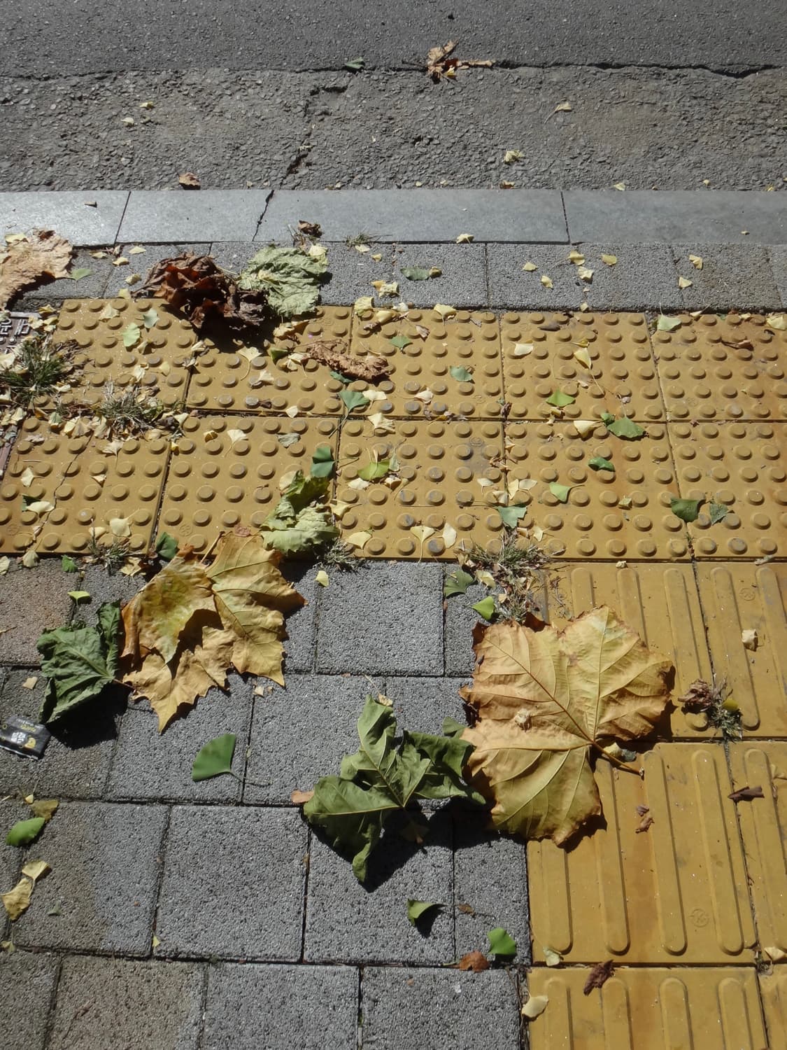 희귀!!) 소니 dsc-tx55 사이버샷 핑크디카  상품이미지6