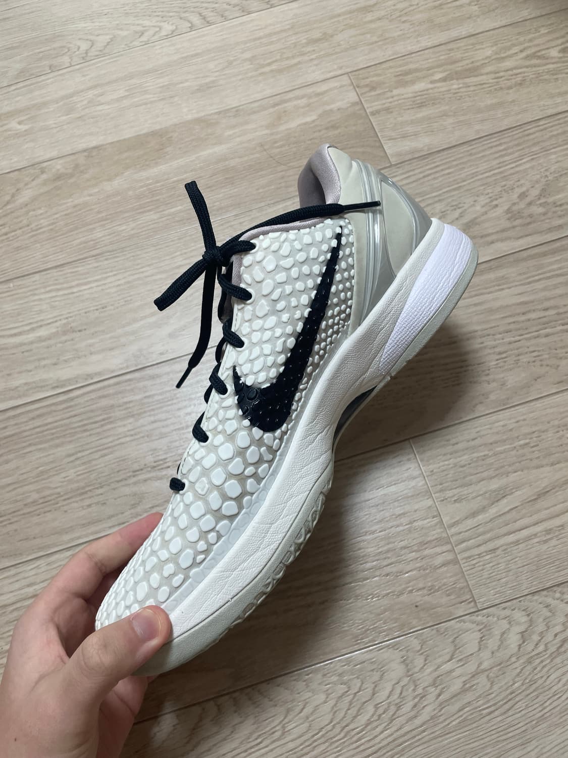 코비6 세일 상품이미지5