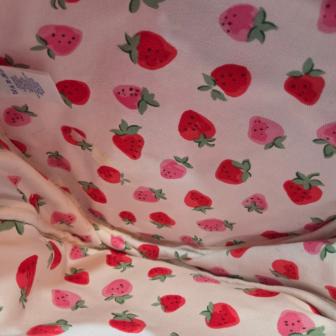 캐스키드슨 키즈 딸기 백팩 상품이미지5