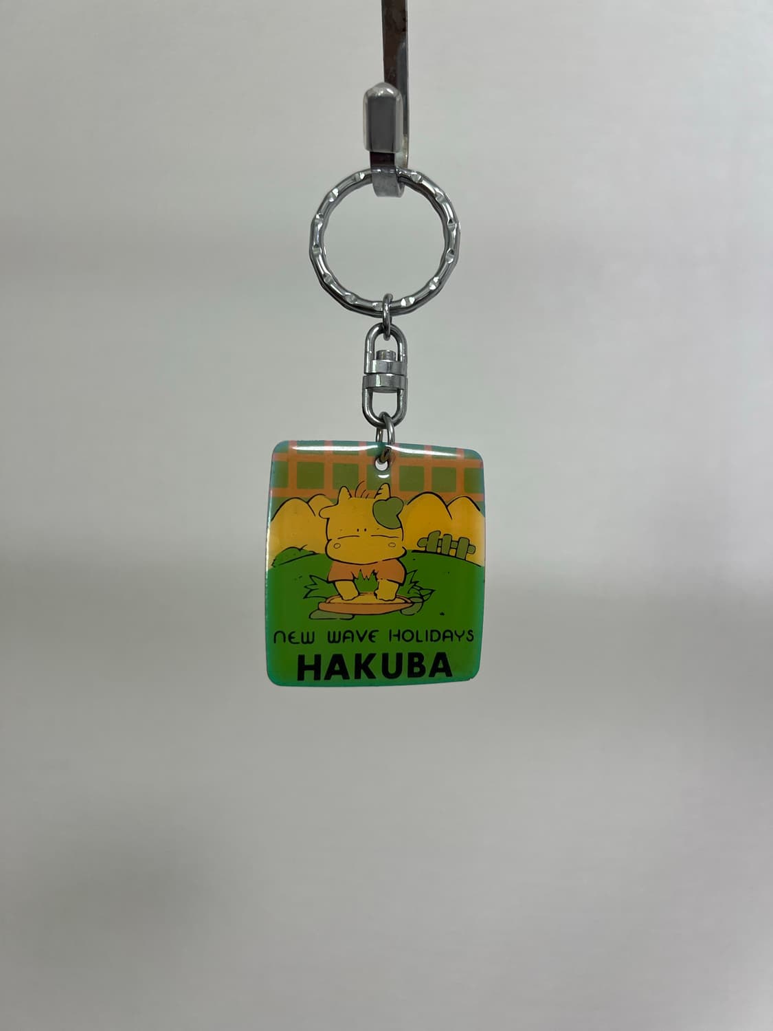 japaness keyring hakuba 상품이미지1