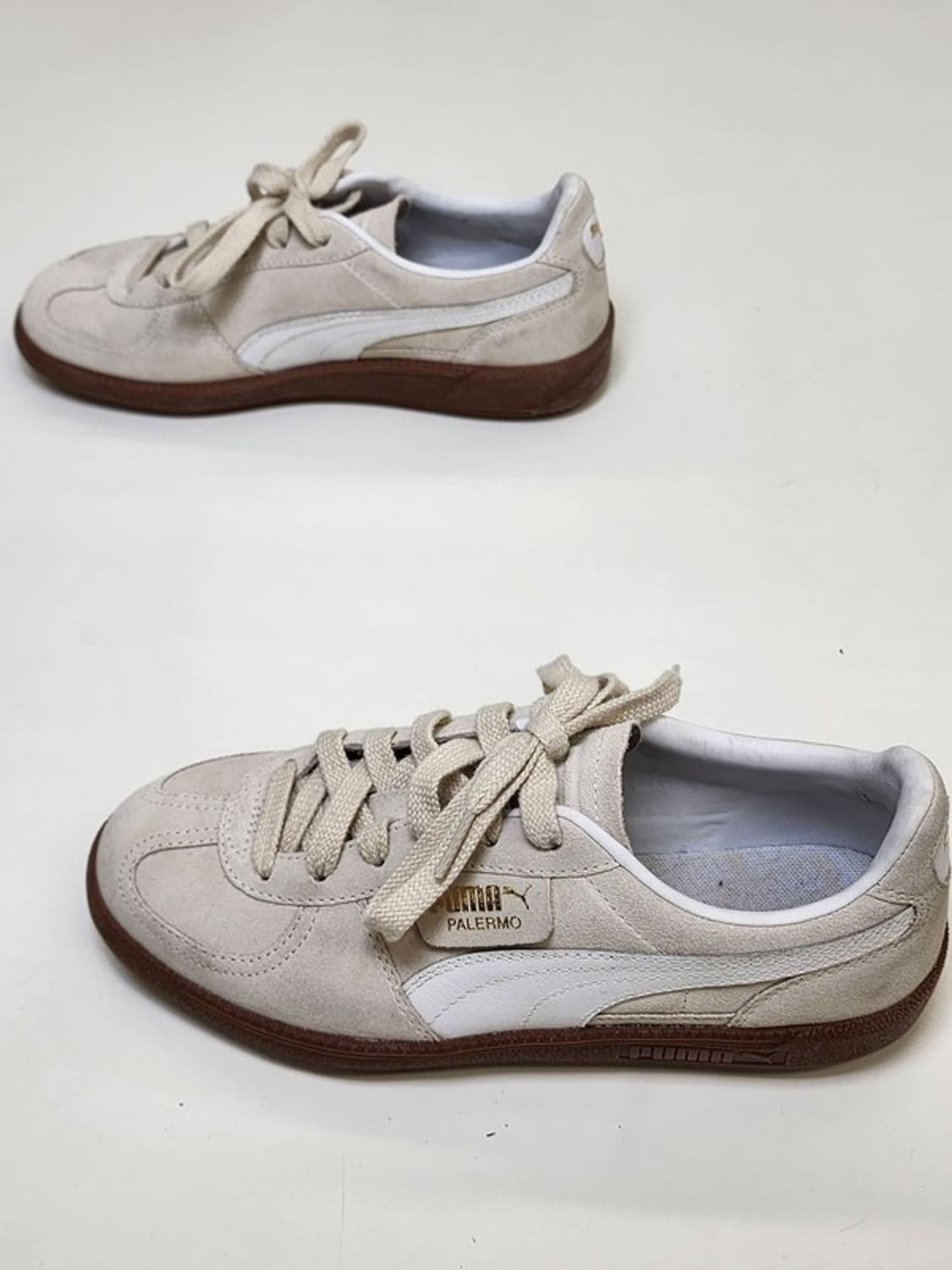 PUMA 팔레르모 인스노우 화이트 240 상품이미지3
