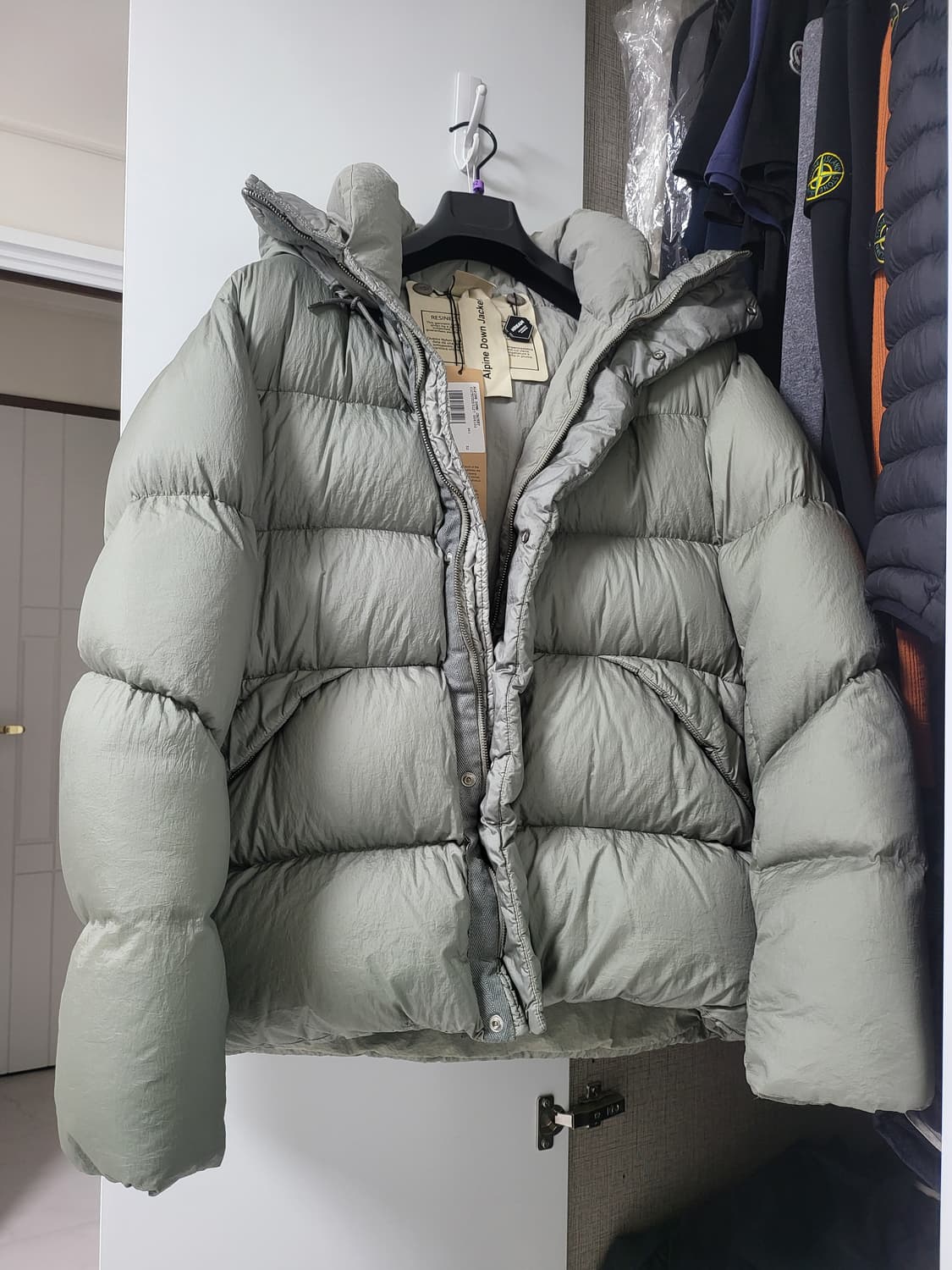 텐씨 알파인 세이지그린 52 상품이미지1