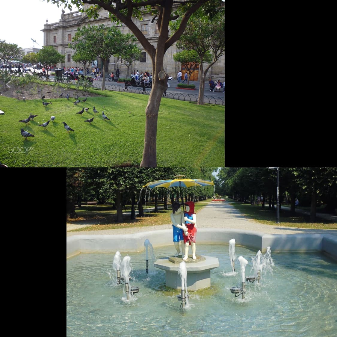 파나소닉 루믹스 dmc xs1 상품이미지2