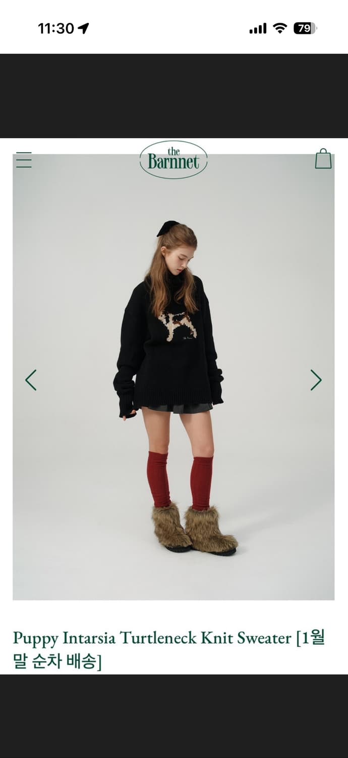 더바넷 퍼피 터틀넥 (미듐)  상품이미지2