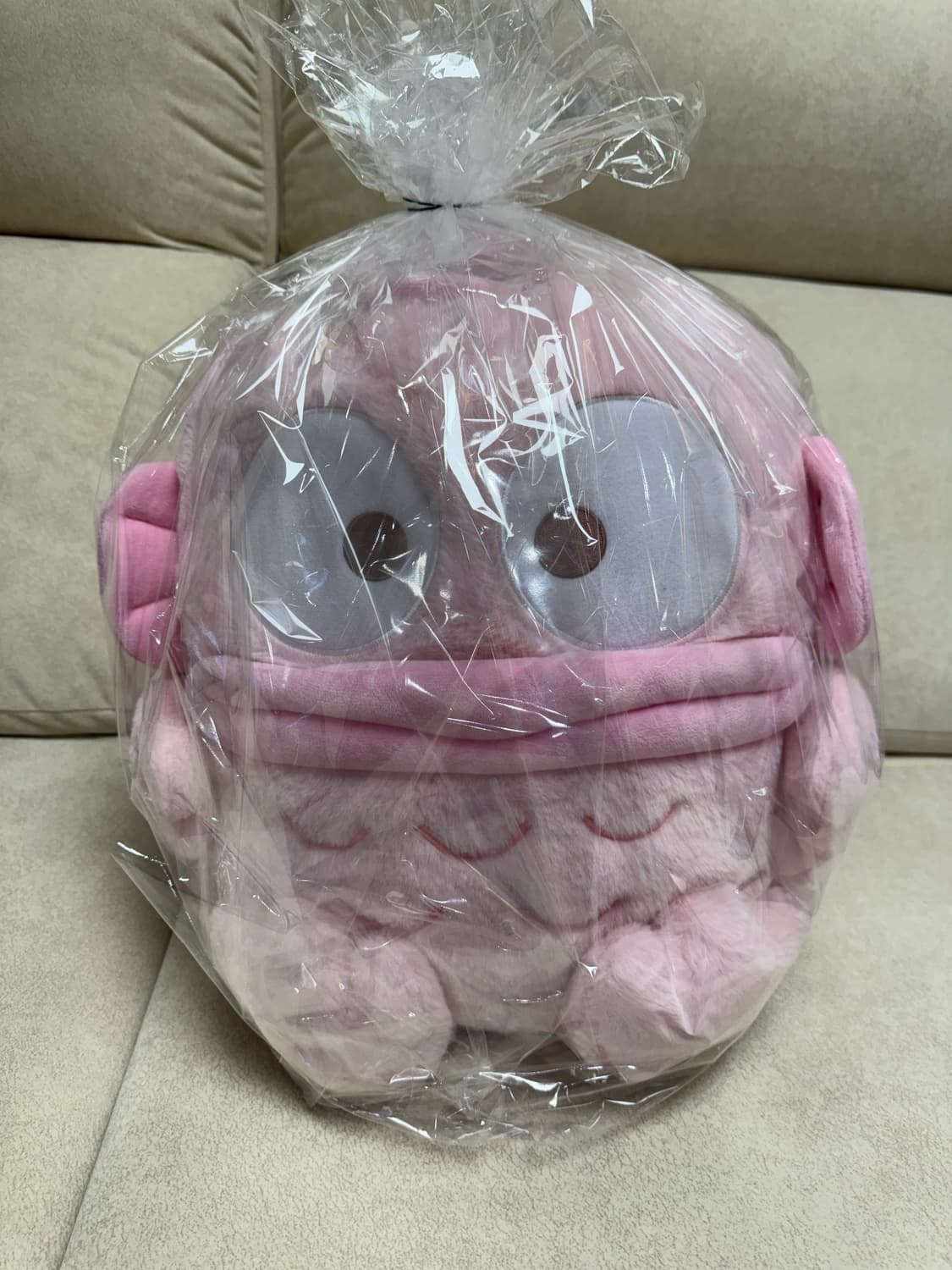 핑크한교동 상품이미지3