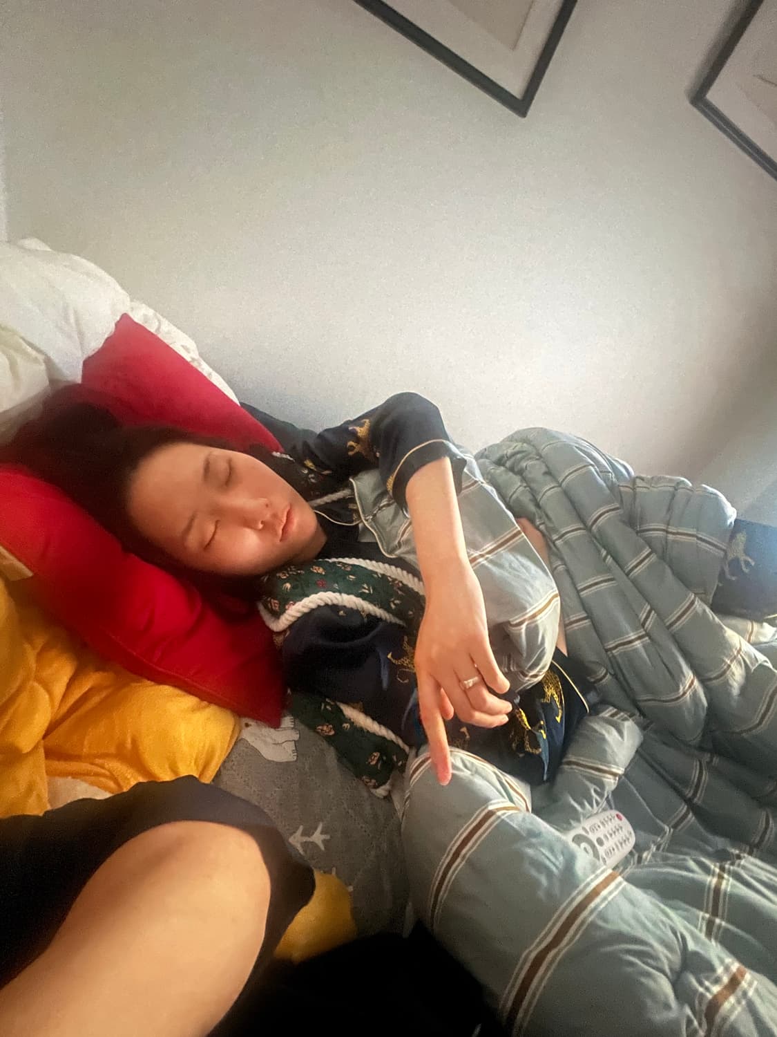 아비렉스 A-2 가죽 자켓 상품이미지10