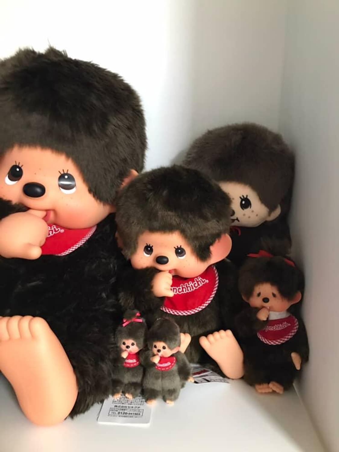 (정품) 우는 몬치치 S  판매 상품이미지2