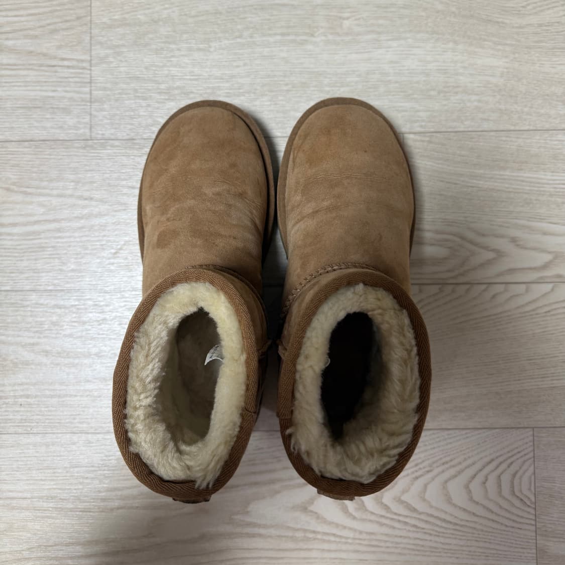 미국어그 클래식 미니(220) 상품이미지3