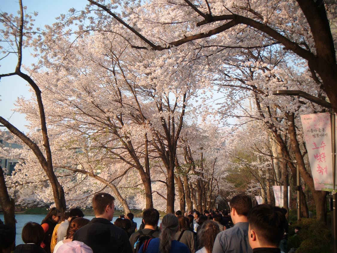 필름색감&강추!) FujiFilm Finepix T400 디카 카메라 상품이미지3