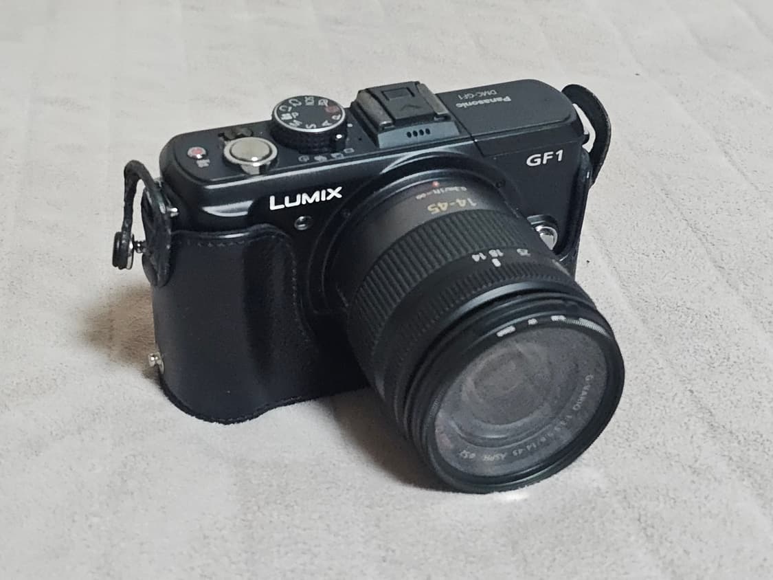 파나소닉 루믹스 GF1 미러리스 카메라 상품이미지8
