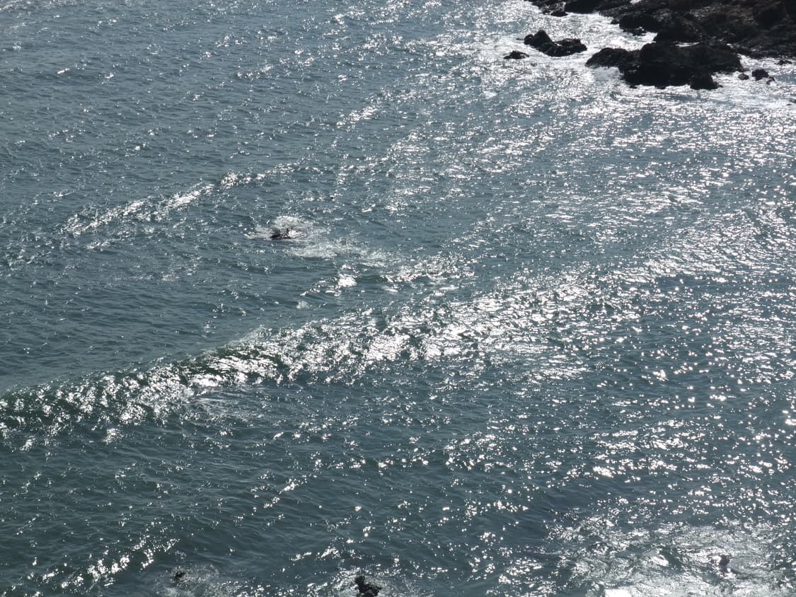 필름색감&강추!) FujiFilm Finepix JV250 디카 카메라 상품이미지5