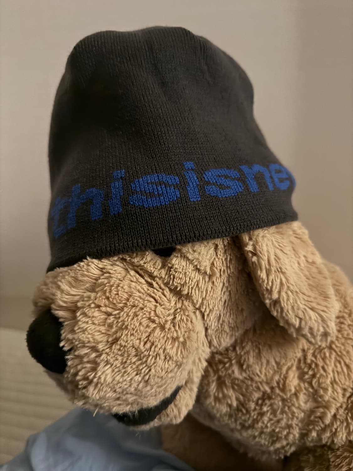 Thisisneverthat 비니 상품이미지2