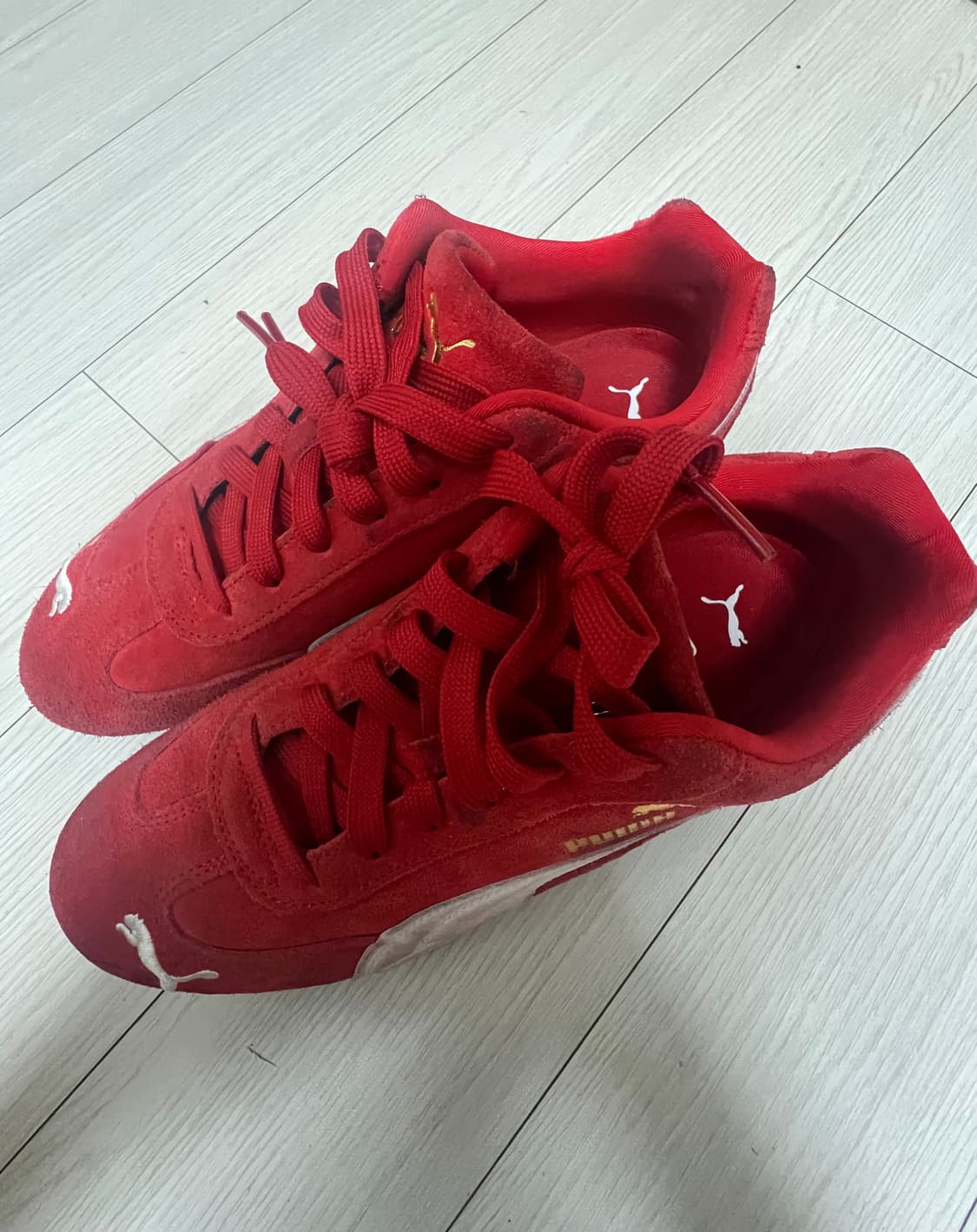 푸마 스피드캣 상품이미지1