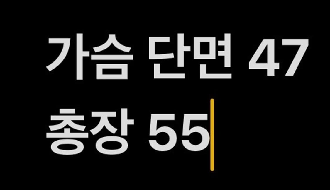 [정품/L] 메종키츠네 랜드스케이프 풀오버 스웨터 니트 b8 상품이미지7