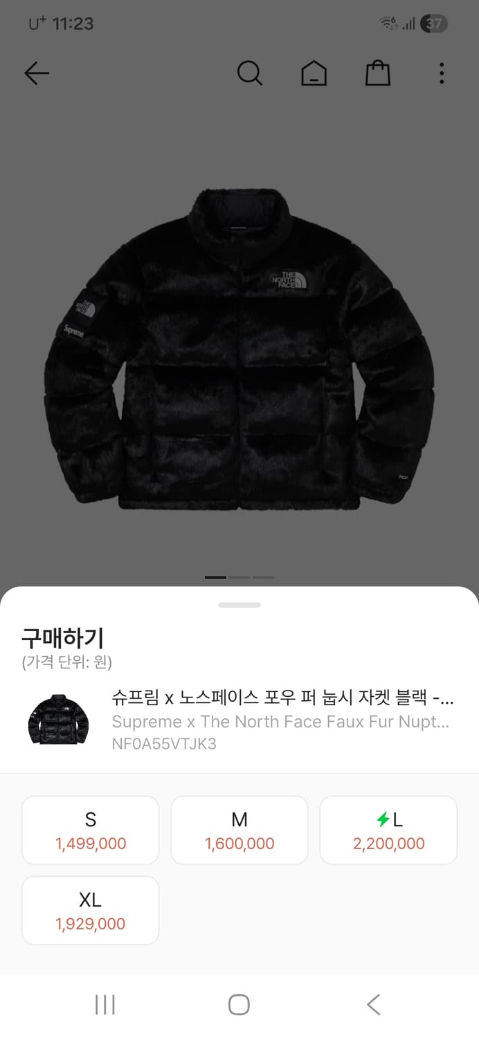 슈프림 x 노스페이스 콜라보 퍼 눕시 패딩 M 상품이미지3