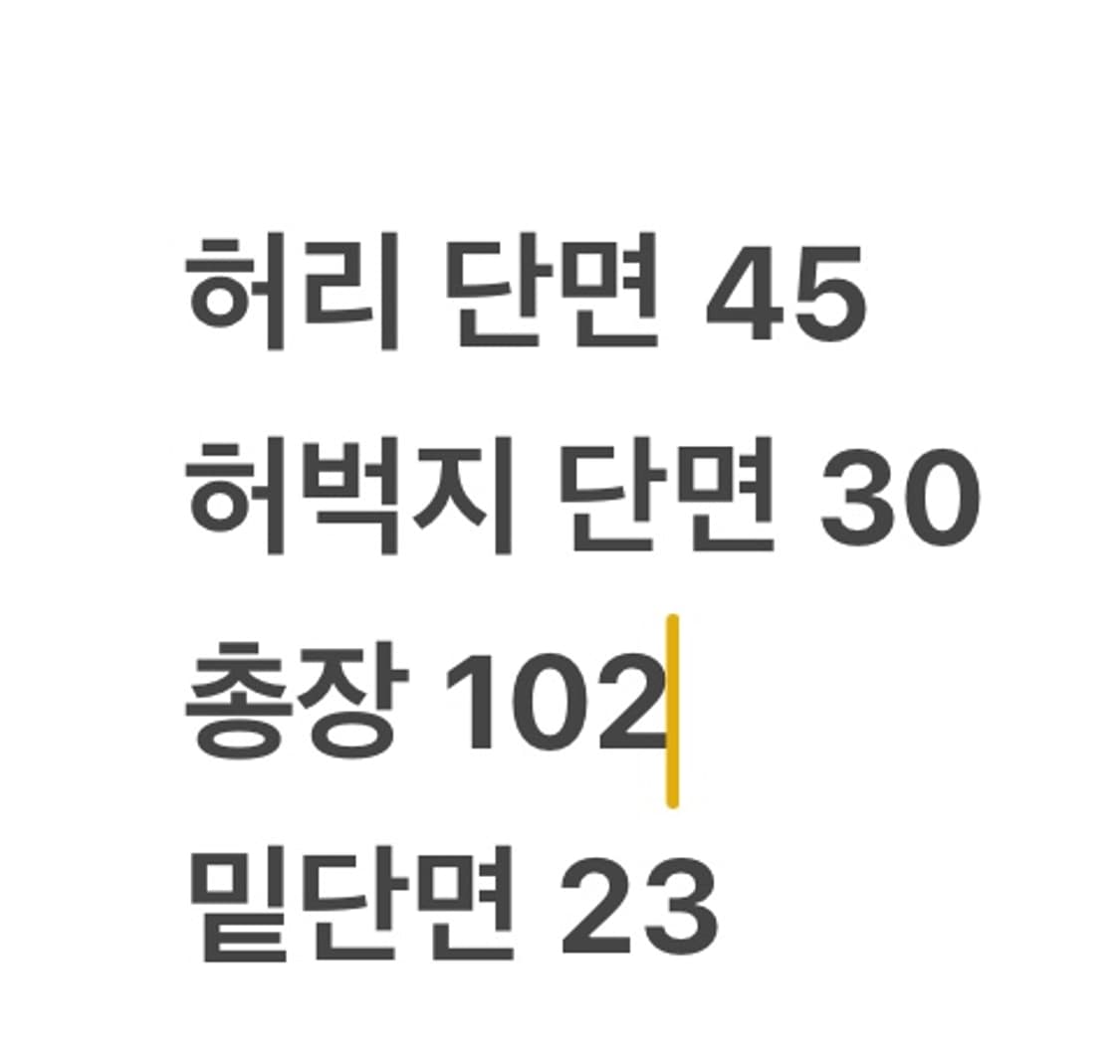 [ 정품/36 ] 나이키 SB 카고 팬츠 b8 상품이미지8