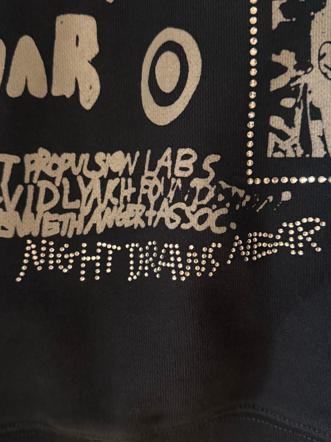 [L] 팔리 할리우드 버드맨 후드집업 상품이미지10