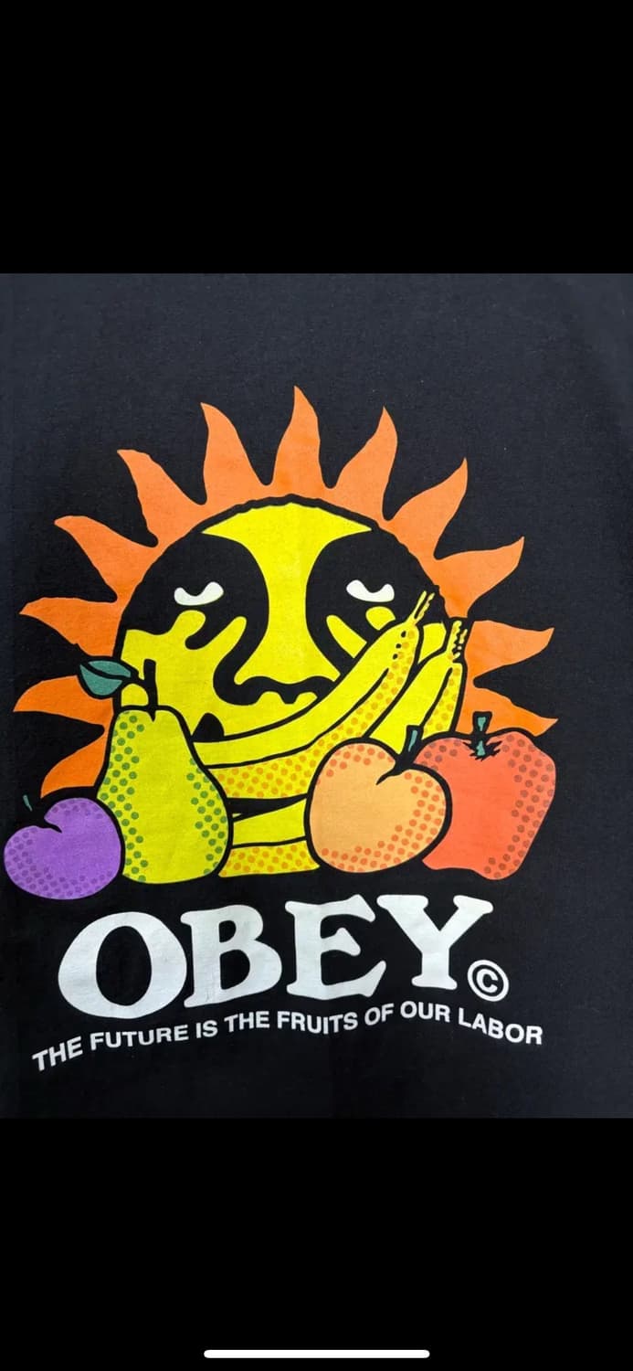 오베이 후르츠오브 아워 레이버 클래식 블랙 반팔 H1906 상품이미지6