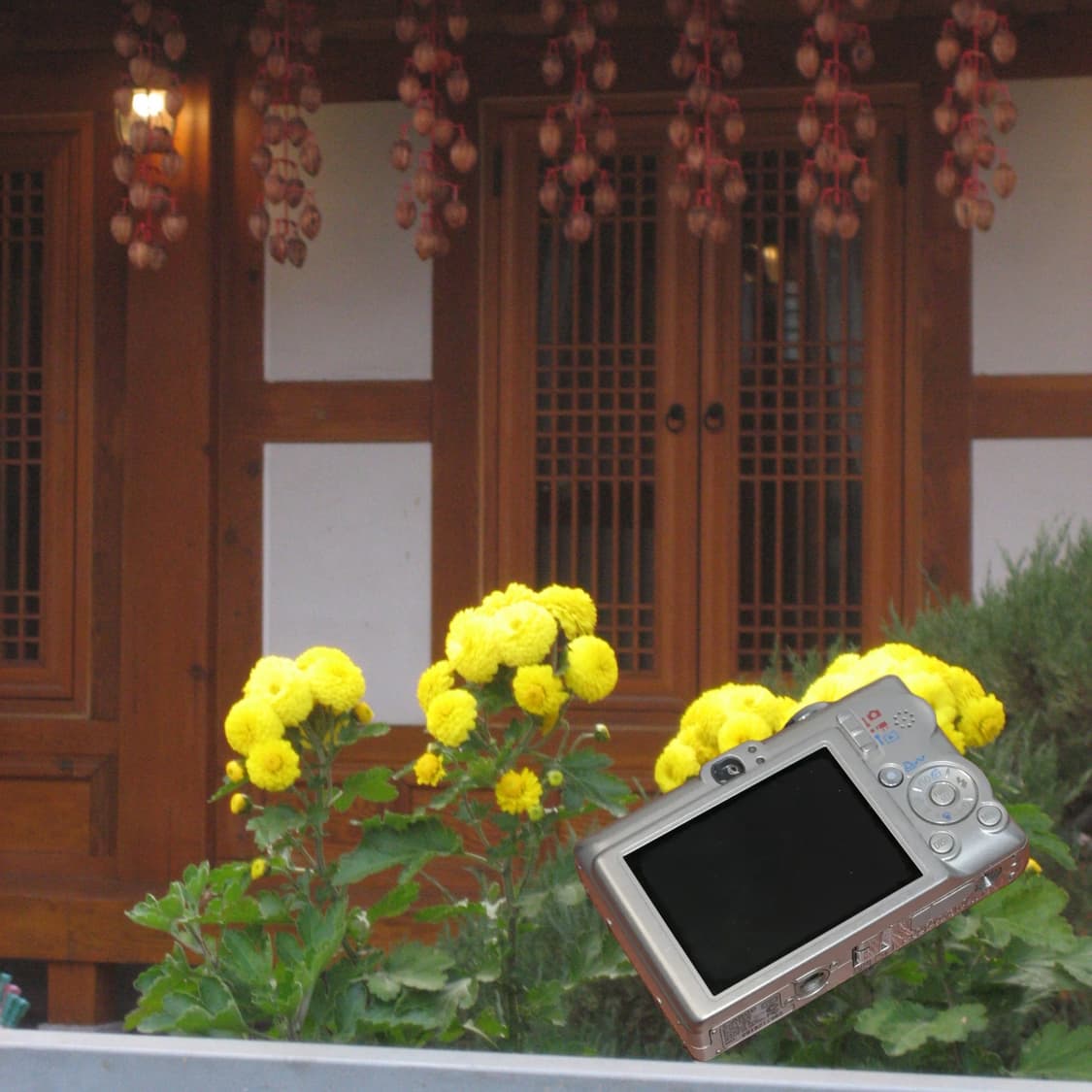 IXY Digital 60(📸익서스/🎁풀패키지) 상품이미지5