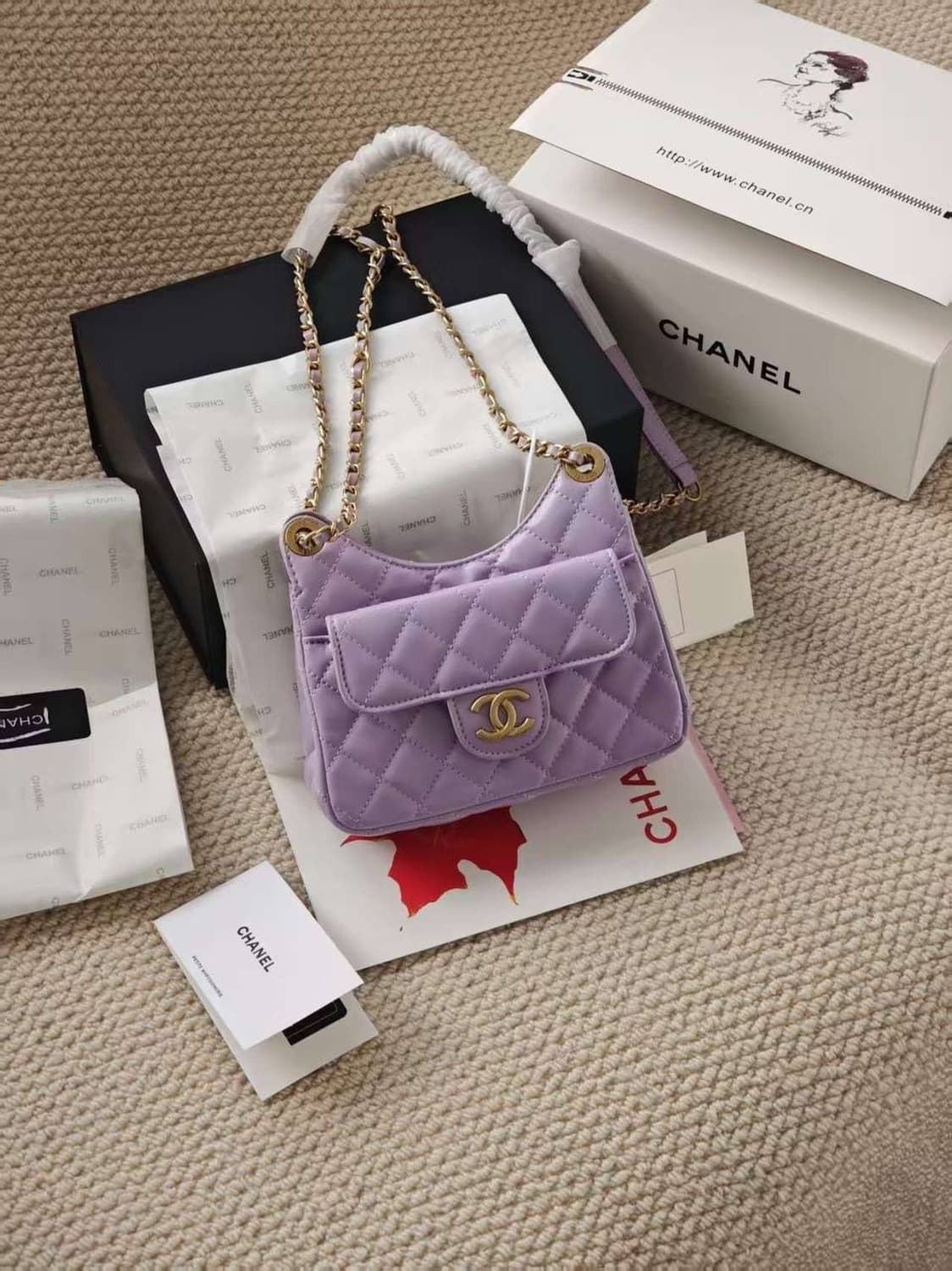 샤넬 스몰 호보백 상품이미지1