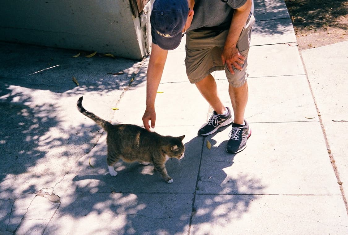 작례O 소장품 할리나 마이크로 35 필름카메라 빈티지 필카 상품이미지2