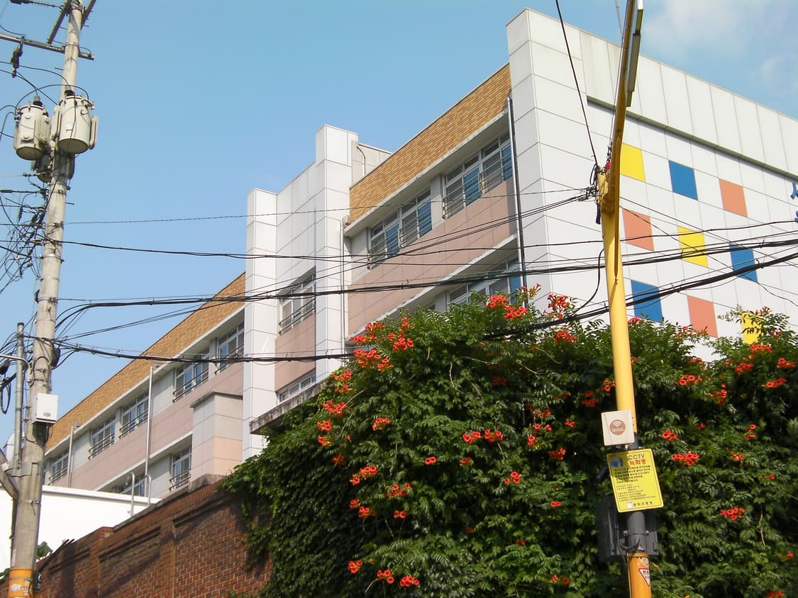 🤍SANYO XACTI 산요 작티 CG9 상품이미지10