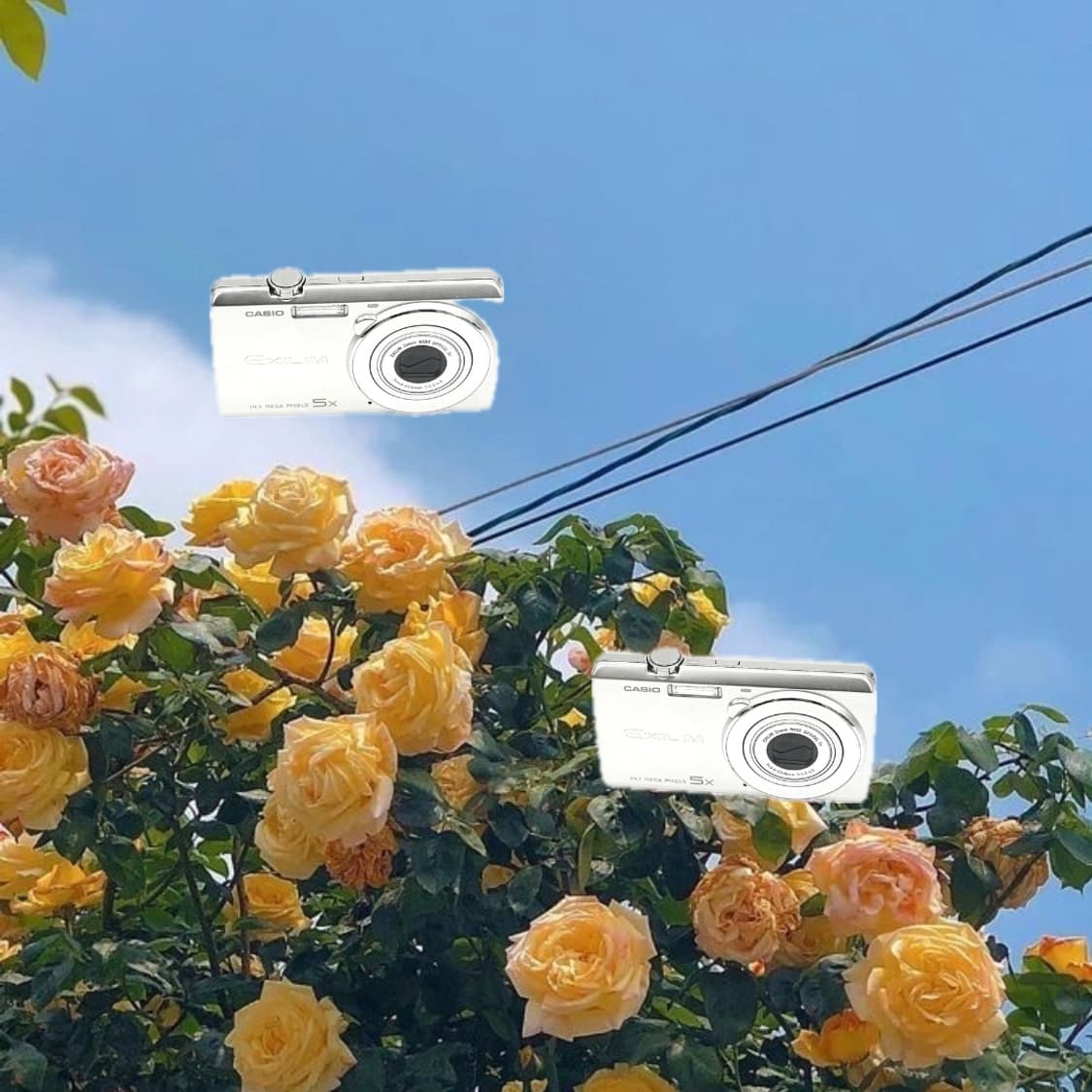 풀박스&강추!) Casio Exilim EX-Z680 디카 카메라 상품이미지1