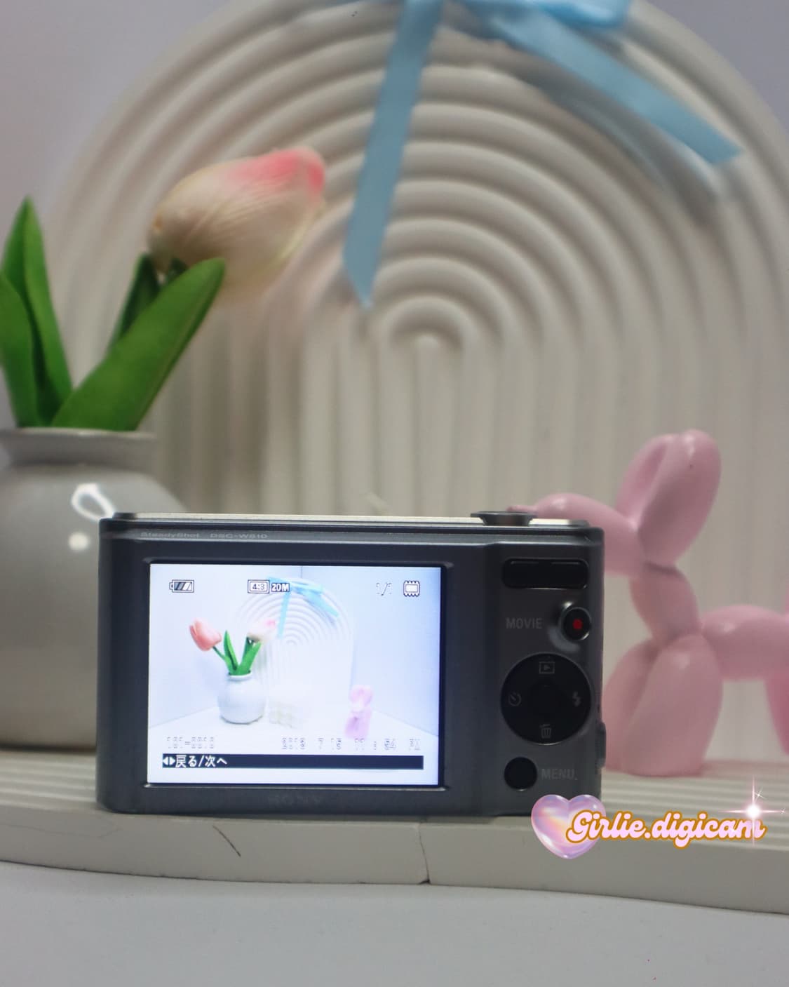 아이브레이디카 !)) 소니 사이버샷 W810 - SONY W810 상품이미지5