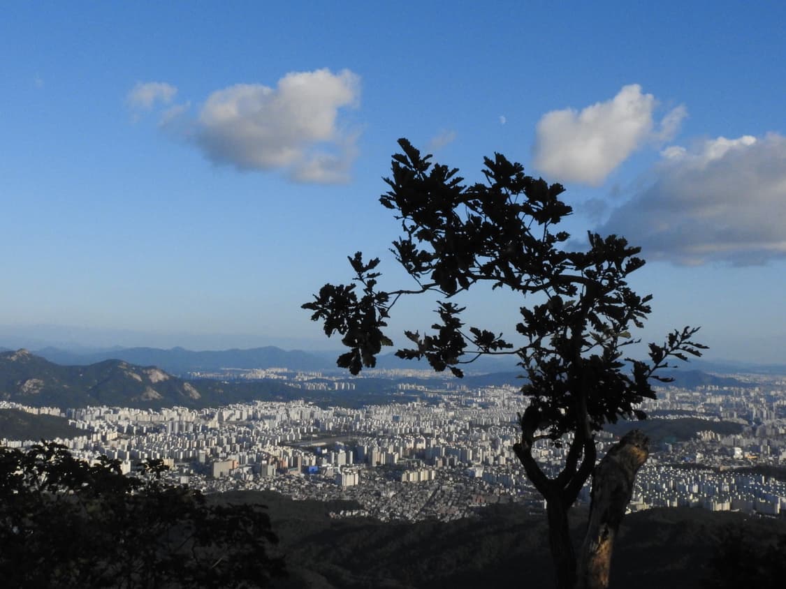 소니 사이버샷 dsc-p9디카 (빈티지 카메라) 상품이미지8