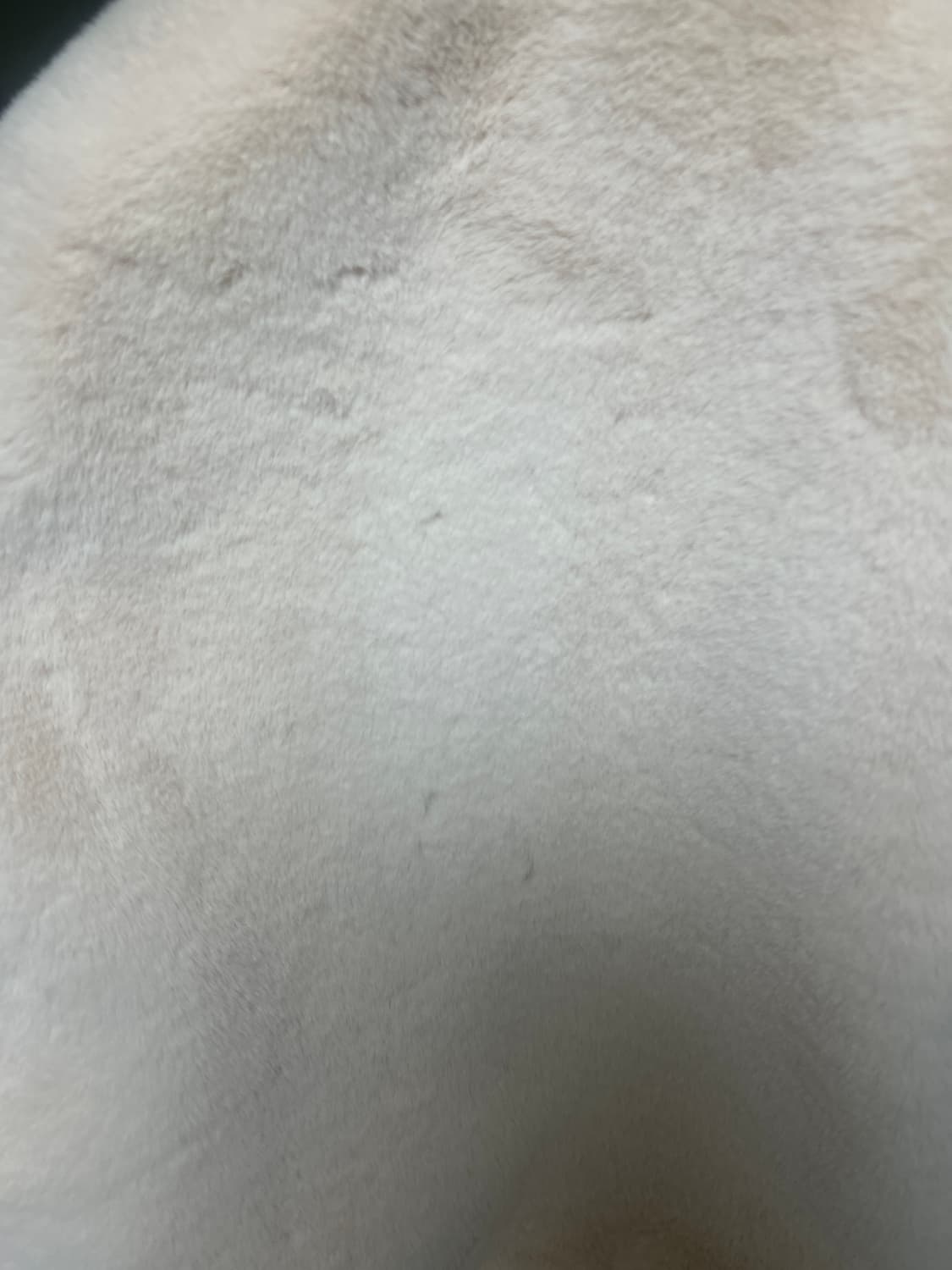 클리시어 푸딩 퍼 자켓 상품이미지4