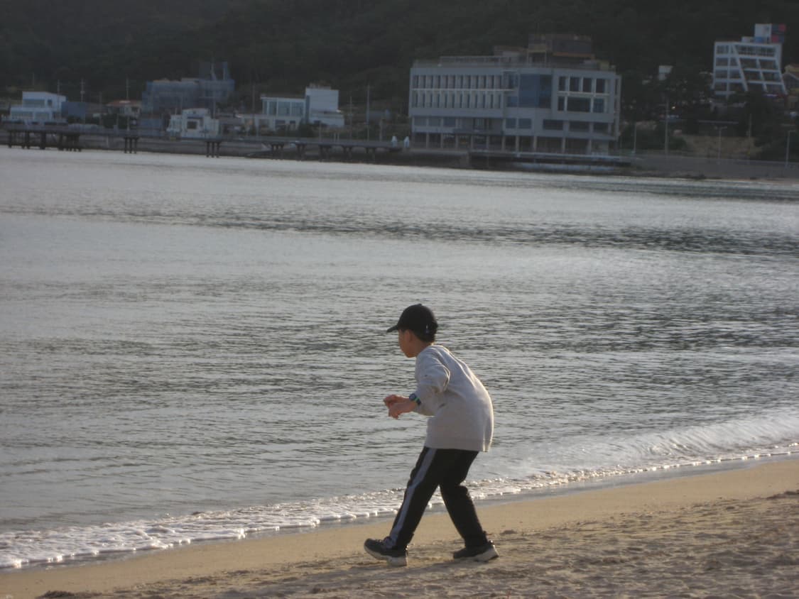 Canon ixus 800IS 디카 상품이미지5