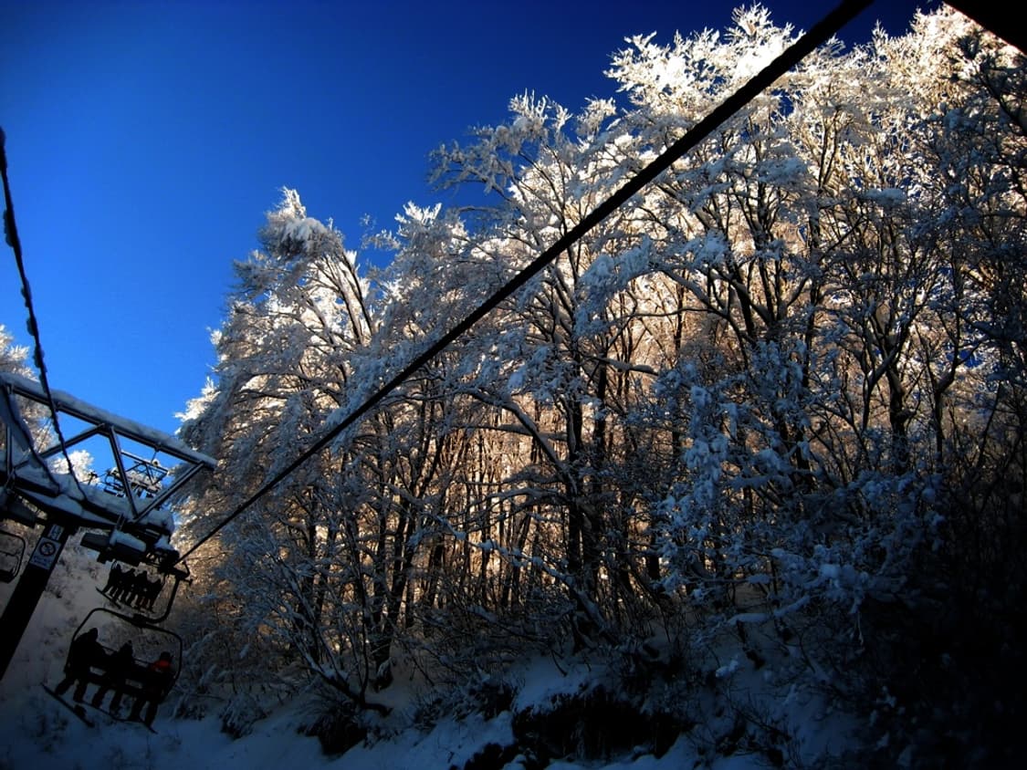 캐논 익서스 70 Canon IXUS 70 (IXY 10) 상품이미지3