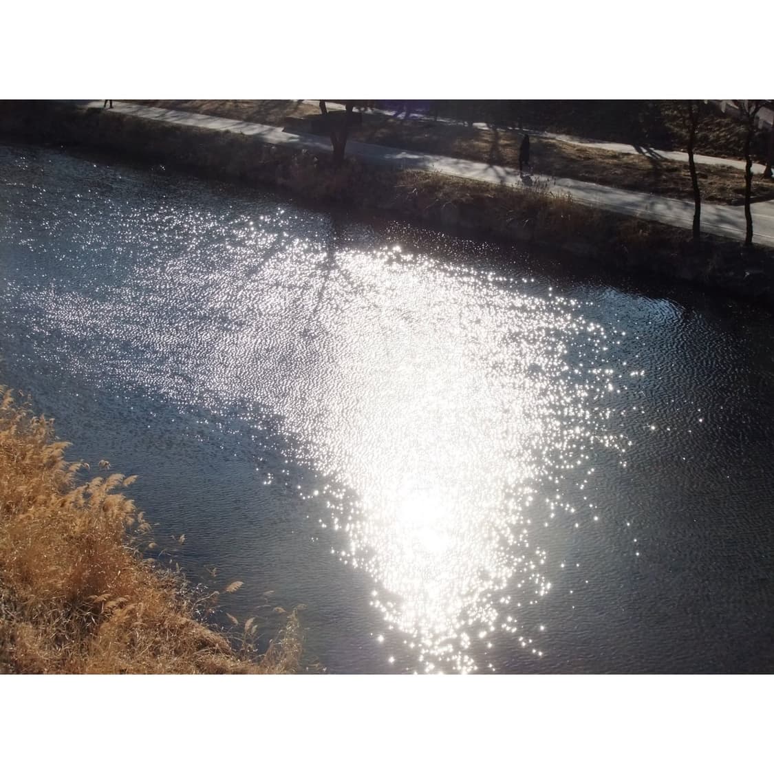 후지필름 z700exr 레드컬러 (작례 0) 상품이미지4