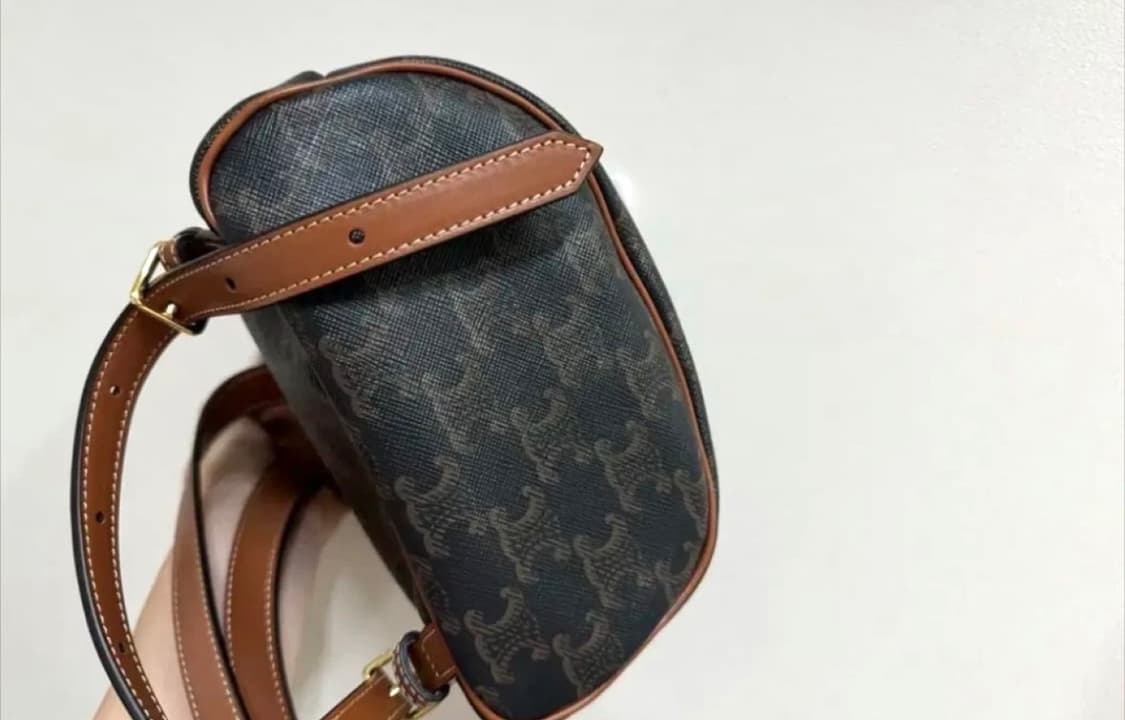 셀린느 트리옹프 캔버스 & 카프스킨 미니 백팩 폴코 탄 상품이미지4