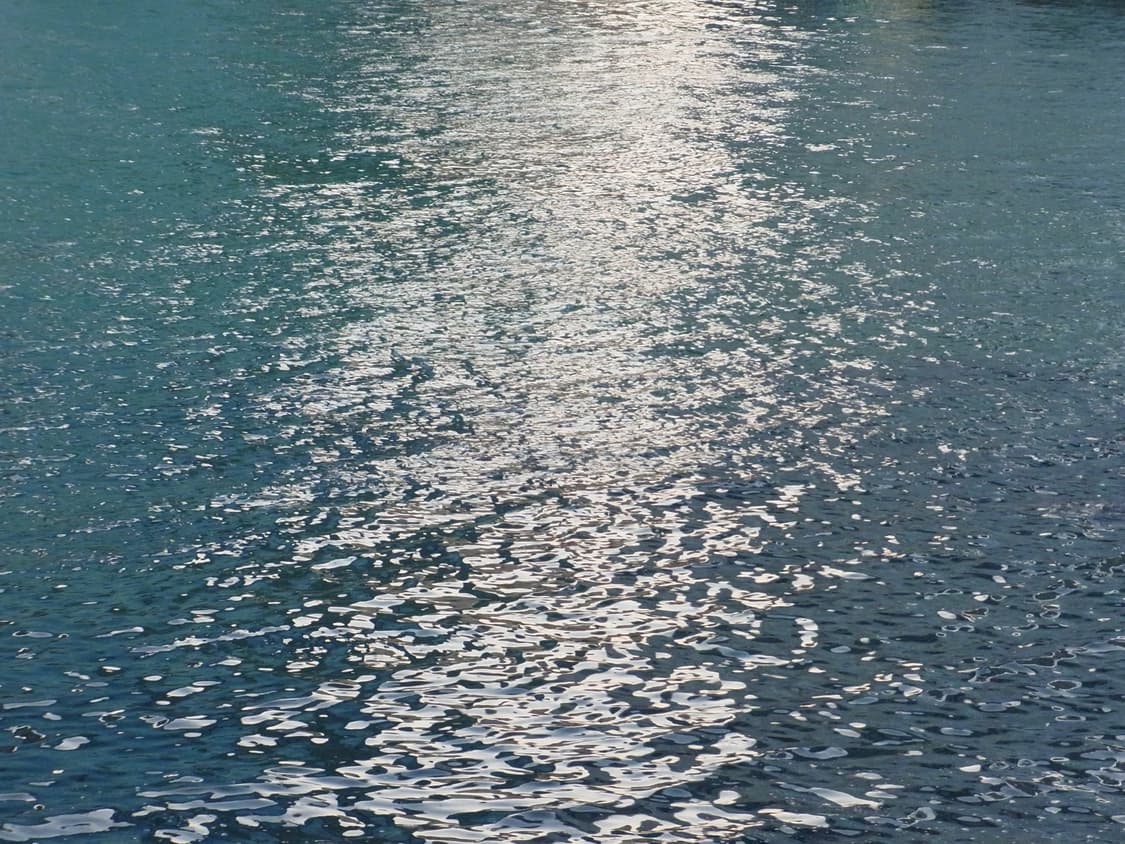 (작례첨부) 리코 RICOH CX4 상품이미지5