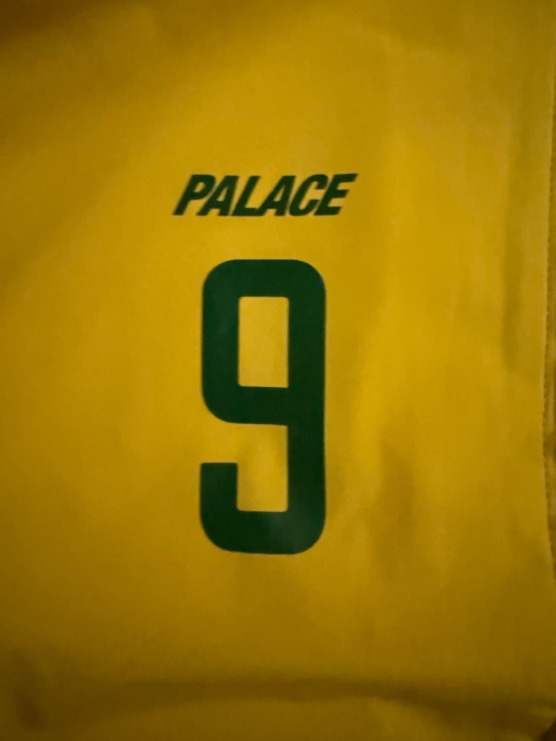 팔라스 프로팀 브라질 바람막이 m 상품이미지3