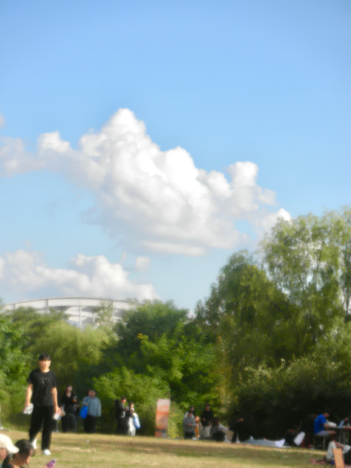 소프트포커스&와이파이!) Samsung SH100 디카 카메라 상품이미지5